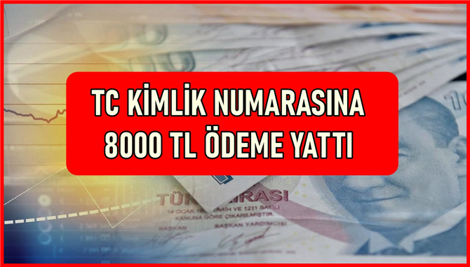 TC Kimlik Numaranıza 8000 TL Ödeme Yatmış Olabilir Son 4 Hanesine Göre