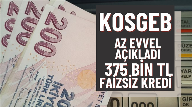 Az evvel açıklandı! KOSGEB 375.000 TL faizsiz kredi desteği sağlayacak