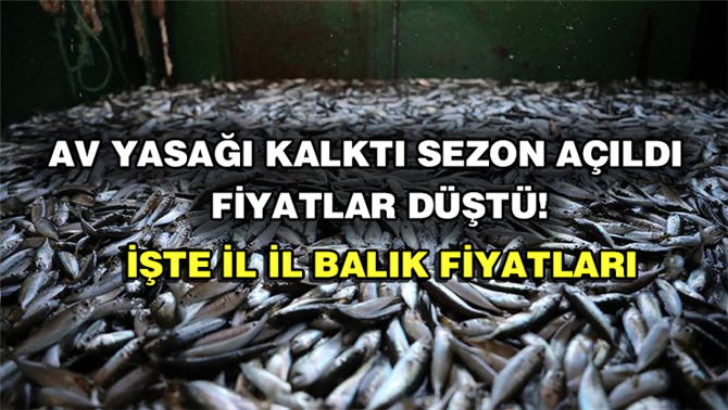 Balık Fiyatları ne kadar? İl il 2019 Balık fiyatları belli oldu