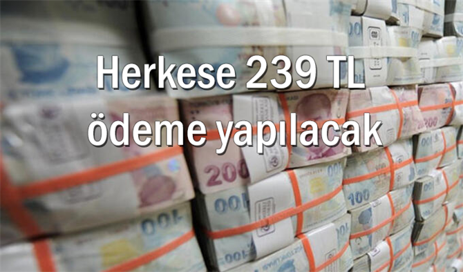 Herkese 239 TL ödeme yapılacak: Ödemeler her ay düzenli olacak, başvuru şartları işte bunlar