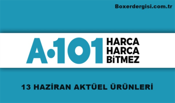 A101 13 Haziran Perşembe Aktüel Ürünler Kataloğu Yayınlandı - A101 Aktüel İndirimli Ürünleri