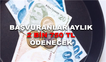 Başvuranlara Aylık 2 bin 750 TL Ödeme Yapılacak! 5 Şart Aranıyor ama herkes sağlıyor