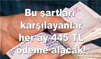 Bu şartları karşılayanlar her ay 445 TL ödeme alacak! Hemen başvuru yapın!