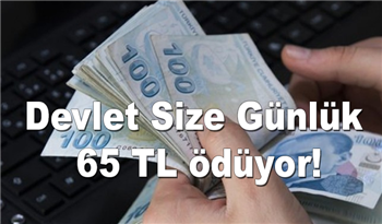 Devlet Size Günlük 65 TL ödüyor! Hemen paranızı alın!