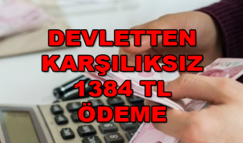 Devletten Karşılıksız Ayda 1384 TL Desteği!