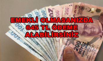 Emekli olmayana 645 Lira Ödeme onaylandı! Emekli olmasanızda bu parayı alabilirsiniz