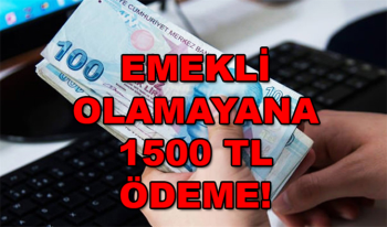 Emekli Olmayanlara 1500 TL Ödeme! Nüfus Cüzdanıyla Başvurmak Yetiyor