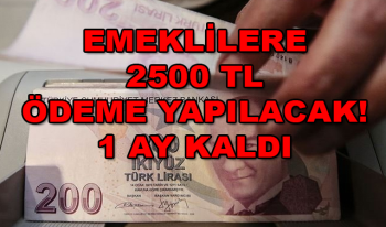 Emeklilere 2500 TL müjdesi, 1 ay kaldı