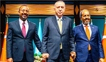 Etiyopya-Somali Anlaşması, Türkiye'nin Adil Diplomasi Peşinde