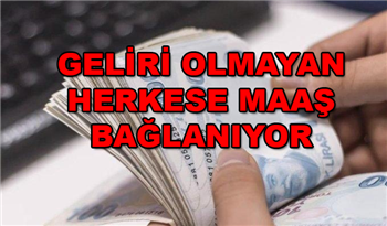 Herkese Maaş Bağlanıyor! Hiç bir Şartı Yok!