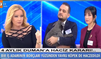 Kedi ya da Köpeğe haciz uygulanabilir mi? Müge Anlı ile Tatlı Sert 8 Şubat 2019 Duman'a haciz