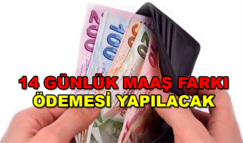 Memur ve emeklilere 2020'de 14 Günlük Maaş Farkı ödemesi yapılacak! 15 Ocak'ta memur maaşları