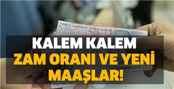 Memur ve Emeklilere Müjde! Maaşlara İlave Zam Geliyor! Enflasyon Zammı Ne Kadar Arttı? Memur ve Emekliler 2021 Ocak’ta Ne Kadar Zam Alacak?