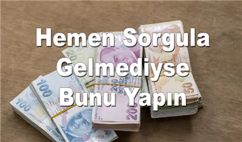 O Paralar Hesaplara Geçti! Bakan Açıkladı! Hemen Sorgula Gelmediyse