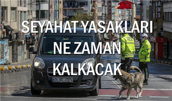 Şehirlerarası Seyahat Yasakları Ne Zaman Kalkacak? Seyahat Etmek Ne Zaman Serbest Olacak?