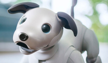 Sony’den Evcil Robot Köpek