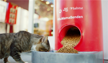 Tweet Atınca Sokak Hayvanlarına Mama Veren Makineler, İstanbul Geneline Yayıldı