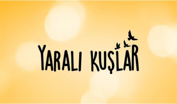 Yaralı Kuşlar Oyuncuları ve konusu Kanal D yeni günlük dizi