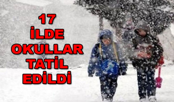 Yarın Okullar Tatil mi? 13 Şubat 2020 Perşembe 16 ilde Eğitime Kar Engeli nereler tatil