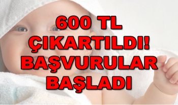 Yeni Doğan Çocuk Parası 600 TL Yükseltildi! 2020 Başvuruları Başladı